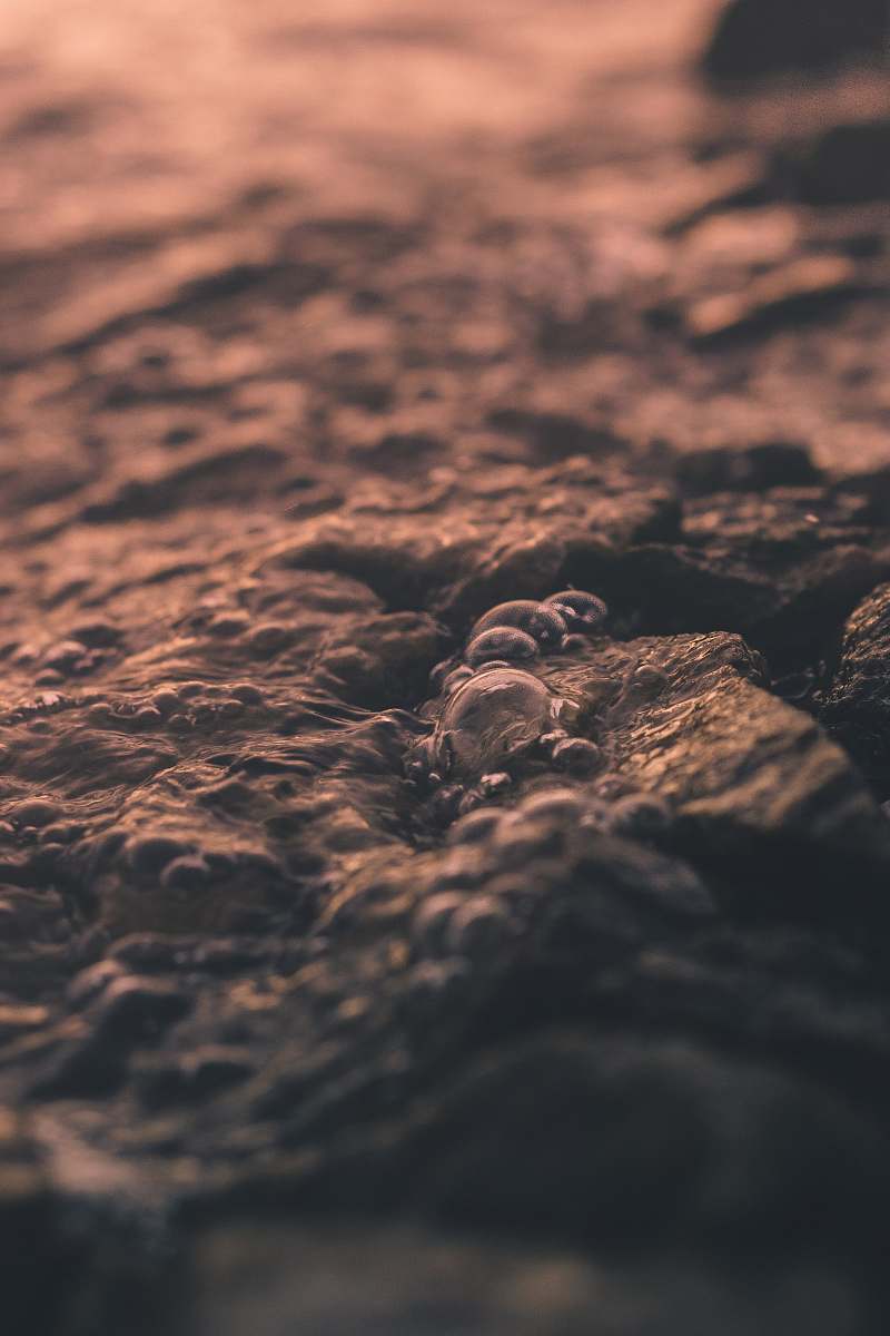 aerial view closeup photography of water bubble landscape